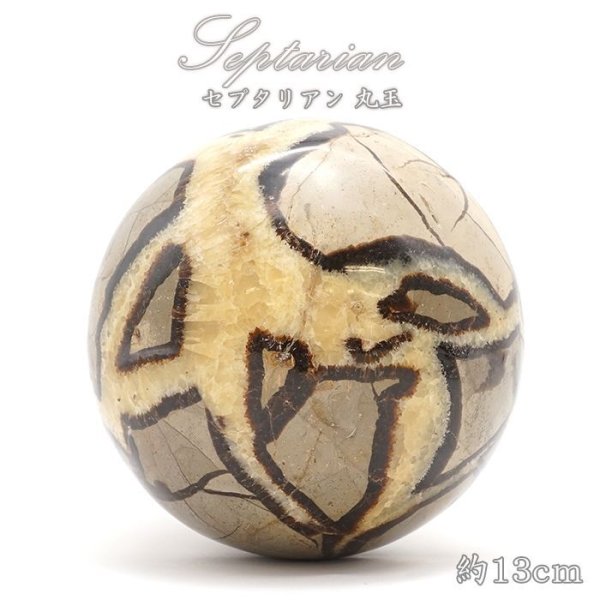 セプタリアン 丸玉 Septarian 13cm マダガスカル 泥灰岩 天然石 パワーストーン インテリア 風水 置物 魔除け