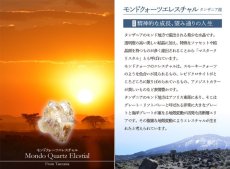 画像6: モンドクォーツエレスチャル 原石 タンザニア産 【 一点もの 】水晶 アメジスト エレスチャル 稀少石 浄化 天然石 パワーストーン (6)