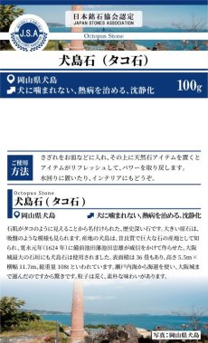 画像5: さざれ 100g  犬島石（タコ石） 岡山県 犬島産 日本の石 日本銘石 Octopus Stone 天然石 パワーストーン カラーストーン (5)