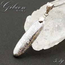 画像1: 【大決算SALE 30%OFF】 ギベオン ペンダントトップ ナミビア産 【一点物】日本製 宇宙のパワー 隕石 チャネリング 浄化 天然石 パワーストーン カラーストーン (1)