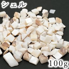 画像1: さざれ 100g シェル 天然石 パワーストーン 穴無し さざれ カラーストーン (1)