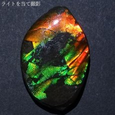 画像5: 【大決算SALE 30%OFF】 アンモライト ルース カナダ産 Ammolite 一点物  アンモナイト 化石 希少石 お守り 天然石 パワーストーン カラーストーン (5)