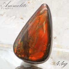 画像1: 【大決算SALE 30%OFF】 アンモライト ルース 4.4g カナダ産 Ammolite 一点物  アンモナイト 化石 希少石 お守り 天然石 パワーストーン カラーストーン (1)