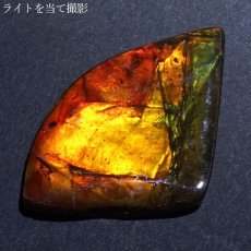 画像3: 【大決算SALE 30%OFF】 アンモライト ルース カナダ産 Ammolite 一点物  アンモナイト 化石 希少石 お守り 天然石 パワーストーン カラーストーン (3)