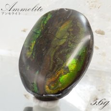 画像1: 【大決算SALE 30%OFF】 アンモライト ルース 5.6g カナダ産 Ammolite 一点物  アンモナイト 化石 希少石 お守り 天然石 パワーストーン カラーストーン (1)