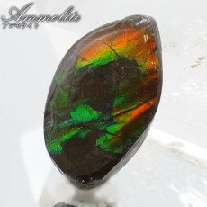 画像1: 【大決算SALE 30%OFF】 アンモライト ルース カナダ産 Ammolite 一点物  アンモナイト 化石 希少石 お守り 天然石 パワーストーン カラーストーン (1)