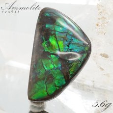 画像1: 【大決算SALE 30%OFF】 アンモライト ルース 5.6g カナダ産 Ammolite 一点物  アンモナイト 化石 希少石 お守り 天然石 パワーストーン カラーストーン (1)