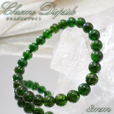 画像1: クロムダイオプサイト 8mm ロシア産 ブレスレット Chrome Diopside 【一点物】 ダイオプサイト ロシアンエメラルド 希少石 お守り 天然石 パワーストーン カラーストーン (1)