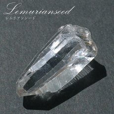 画像1: レムリアンシード 水晶 原石 コロンビア産 一点物 Lemurian Seed 稀少石 浄化 天然石 パワーストーン カラーストーン (1)