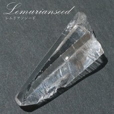 画像1: レムリアンシード 水晶 原石 コロンビア産 一点物 Lemurian Seed 稀少石 浄化 天然石 パワーストーン カラーストーン (1)