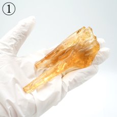 画像3: 虫入り コパル 琥珀 原石 マダガスカル産 アンバー 【一点もの】 天然 昆虫 Copal 天然石 パワーストーン カラーストーン (3)