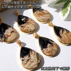 画像4: ペトリファイドパームウッド SV925 ペンダントトップ インドネシア産 ドロップ Petrified Palm Wood 覆輪 フクリン お守り 浄化 天然石 パワーストーン カラーストーン (4)