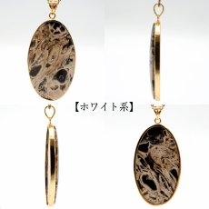 画像4: ペトリファイドパームウッド SV925 ペンダントトップ インドネシア産 オーバル Petrified Palm Wood 覆輪 フクリン お守り 浄化 天然石 パワーストーン カラーストーン (4)