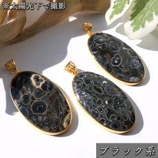 画像3: ペトリファイドパームウッド SV925 ペンダントトップ インドネシア産 オーバル Petrified Palm Wood 覆輪 フクリン お守り 浄化 天然石 パワーストーン カラーストーン (3)