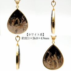 画像3: ペトリファイドパームウッド SV925 ペンダントトップ インドネシア産 ドロップ Petrified Palm Wood 覆輪 フクリン お守り 浄化 天然石 パワーストーン カラーストーン (3)