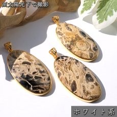 画像5: ペトリファイドパームウッド SV925 ペンダントトップ インドネシア産 オーバル Petrified Palm Wood 覆輪 フクリン お守り 浄化 天然石 パワーストーン カラーストーン (5)