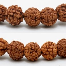 画像2: 金剛菩提樹 7-7.5mm ブレスレット Rudraksha パワーズウッド 天然木 銘木 (2)