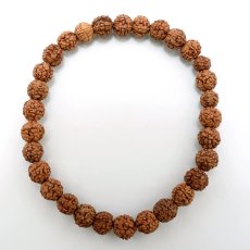 画像3: 金剛菩提樹 7-7.5mm ブレスレット Rudraksha パワーズウッド 天然木 銘木 (3)