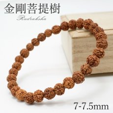 画像1: 金剛菩提樹 7-7.5mm ブレスレット Rudraksha パワーズウッド 天然木 銘木 (1)