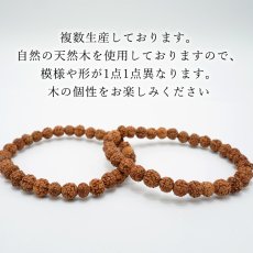 画像4: 金剛菩提樹 7-7.5mm ブレスレット Rudraksha パワーズウッド 天然木 銘木 (4)