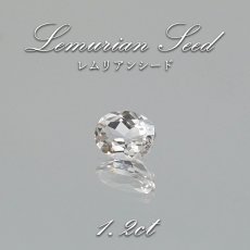 画像1: レムリアンシード ルース オーバル 約1.2ct コロンビア産 Lemurian Seed 稀少石 瞑想 ヒーリング 浄化 天然石 パワーストーン カラーストーン (1)