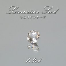 画像1: レムリアンシード ルース ラウンド 約1.9ct コロンビア産 Lemurian Seed 稀少石 瞑想 ヒーリング 浄化 天然石 パワーストーン カラーストーン (1)