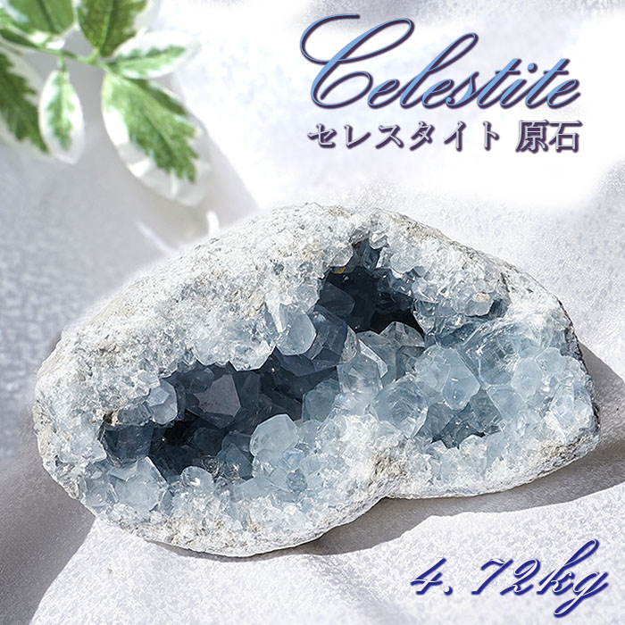数量限定セール Detox Stone 癒しの石 champs21.com
