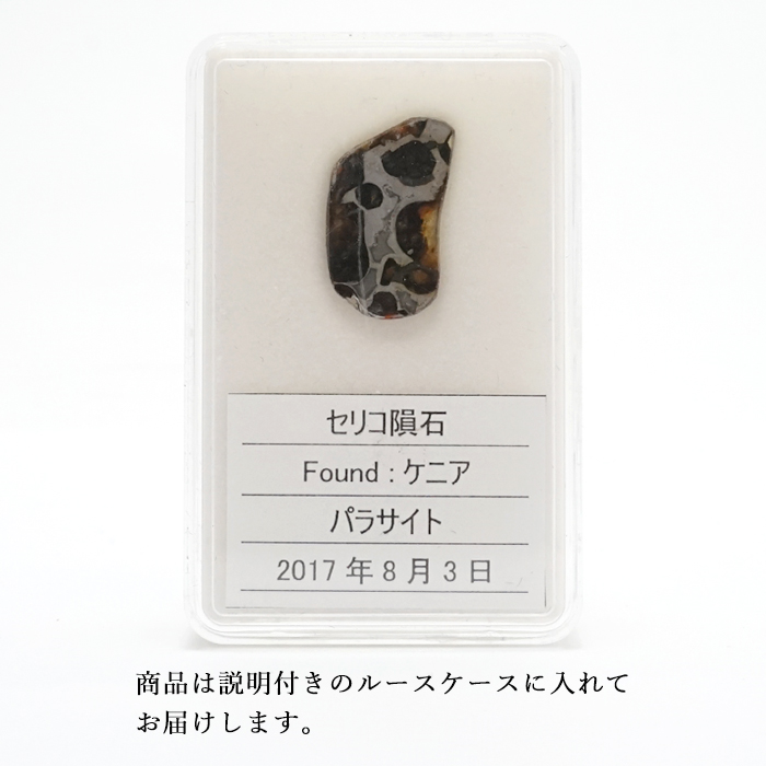【一点物】 セリコ隕石 ケニア産 パラサイト meteorite Parasite