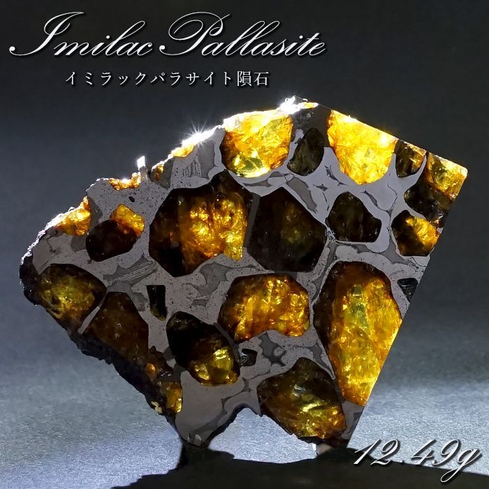 イミラック　隕石　IMILAC　パラサイト　フルカット　石鉄隕石　2.94g1822年
